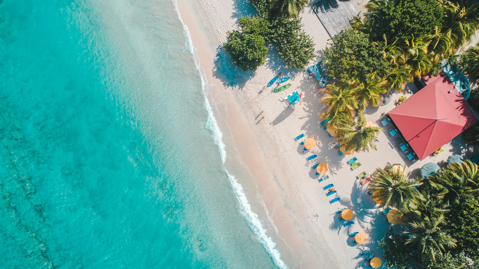 A 2026 Guide to Caribbean Citizenship by Investment